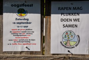 Vergroot afbeelding
