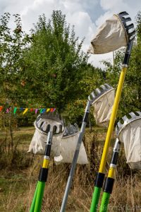 Vergroot afbeelding