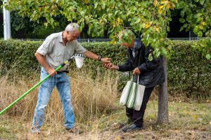 Vergroot decoratieve afbeelding