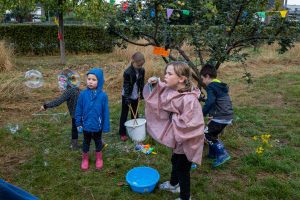 Vergroot afbeelding