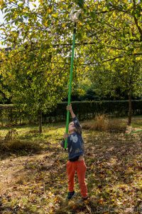 Vergroot afbeelding