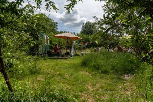 Vergroot afbeelding