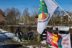 Vergroot afbeelding