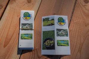 Vergroot afbeelding