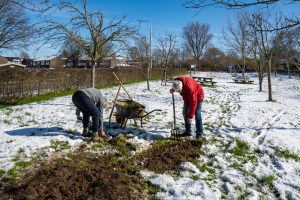 Vergroot decoratieve afbeelding