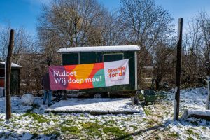 Vergroot afbeelding