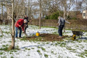 Vergroot decoratieve afbeelding