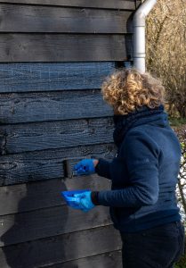 Vergroot afbeelding