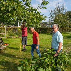 Vergroot decoratieve afbeelding