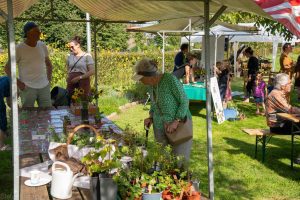 Vergroot decoratieve afbeelding