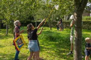 Vergroot decoratieve afbeelding