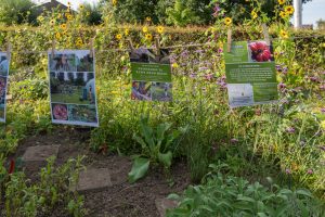 Vergroot decoratieve afbeelding