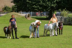 Vergroot decoratieve afbeelding